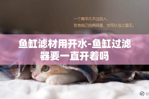 魚缸濾材用開水-魚缸過濾器要一直開著嗎