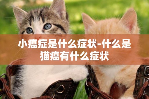 小瘟癥是什么癥狀-什么是貓瘟有什么癥狀