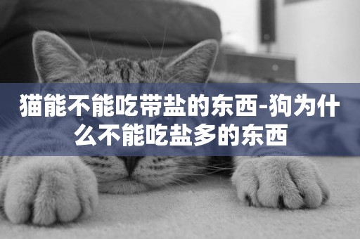 貓能不能吃帶鹽的東西-狗為什么不能吃鹽多的東西