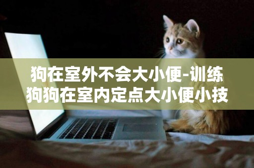 狗在室外不會大小便-訓練狗狗在室內定點大小便小技巧