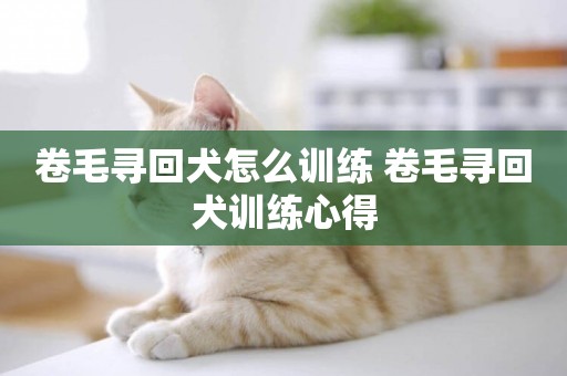 卷毛尋回犬怎么訓練 卷毛尋回犬訓練心得