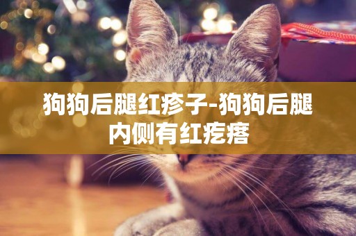 狗狗后腿紅疹子-狗狗后腿內側有紅疙瘩