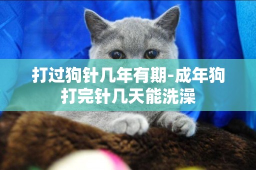 打過狗針幾年有期-成年狗打完針幾天能洗澡