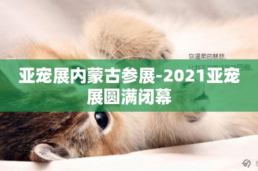 亞寵展內蒙古參展-2021亞寵展圓滿閉幕