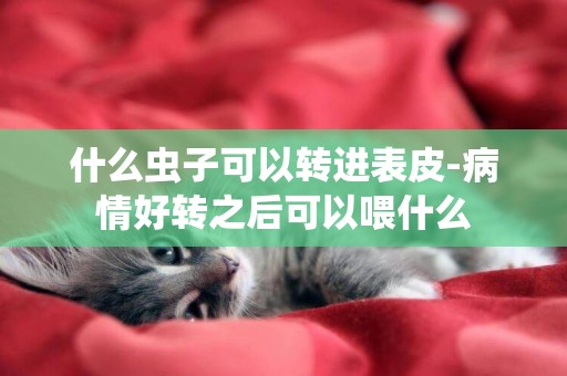 什么蟲子可以轉進表皮-病情好轉之后可以喂什么