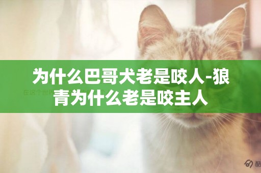 為什么巴哥犬老是咬人-狼青為什么老是咬主人