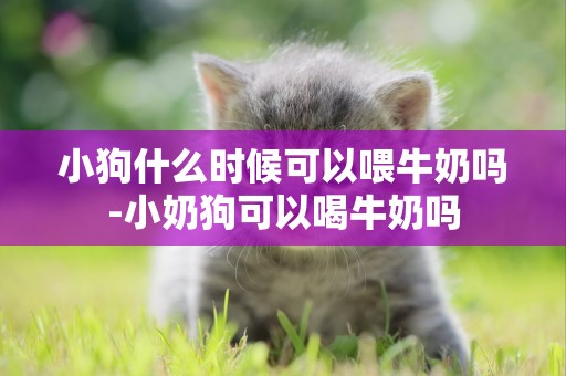 小狗什么時候可以喂牛奶嗎-小奶狗可以喝牛奶嗎