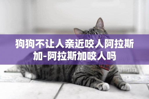 狗狗不讓人親近咬人阿拉斯加-阿拉斯加咬人嗎