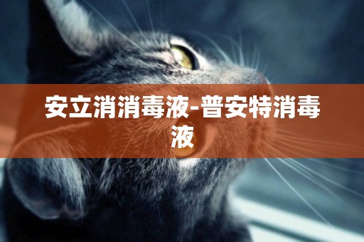 安立消消毒液-普安特消毒液