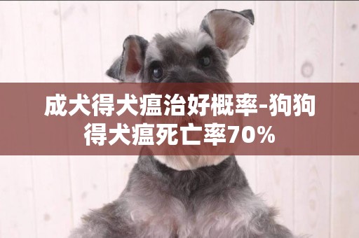 成犬得犬瘟治好概率-狗狗得犬瘟死亡率70%