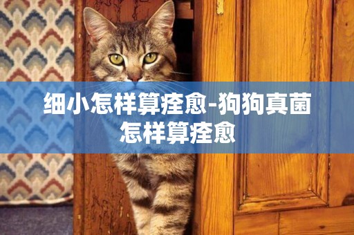 細小怎樣算痊愈-狗狗真菌怎樣算痊愈