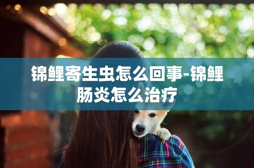 錦鯉寄生蟲怎么回事-錦鯉腸炎怎么治療
