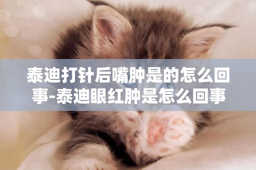 泰迪打針后嘴腫是的怎么回事-泰迪眼紅腫是怎么回事