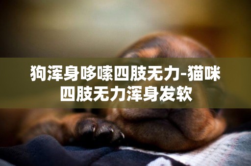 狗渾身哆嗦四肢無力-貓咪四肢無力渾身發軟