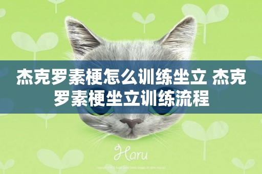 杰克羅素梗怎么訓練坐立 杰克羅素梗坐立訓練流程