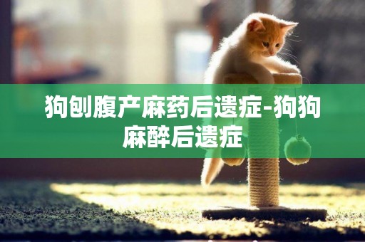 狗刨腹產麻藥后遺癥-狗狗麻醉后遺癥