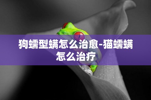 狗蠕型螨怎么治愈-貓蠕螨怎么治療