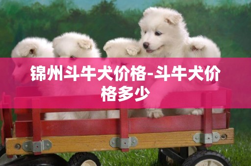 錦州斗牛犬價格-斗牛犬價格多少