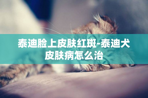 泰迪臉上皮膚紅斑-泰迪犬皮膚病怎么治
