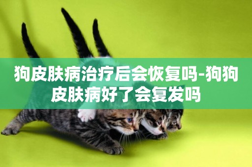 狗皮膚病治療后會恢復嗎-狗狗皮膚病好了會復發嗎