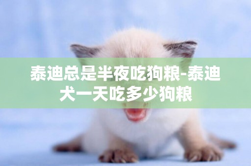 泰迪總是半夜吃狗糧-泰迪犬一天吃多少狗糧