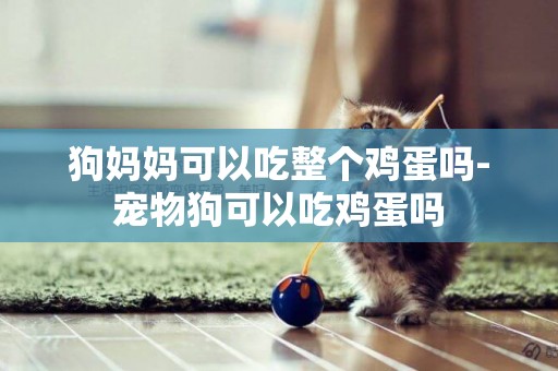 狗媽媽可以吃整個雞蛋嗎-寵物狗可以吃雞蛋嗎