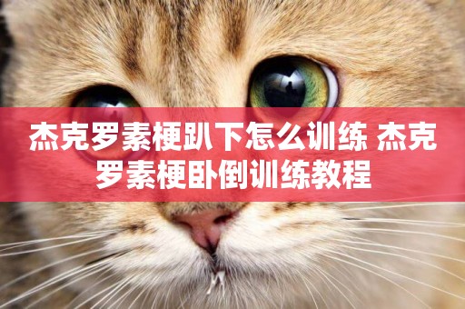 杰克羅素梗趴下怎么訓練 杰克羅素梗臥倒訓練教程