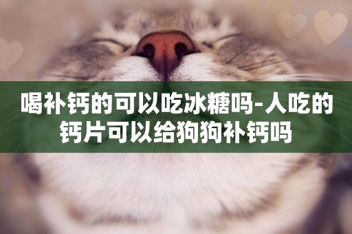 喝補鈣的可以吃冰糖嗎-人吃的鈣片可以給狗狗補鈣嗎