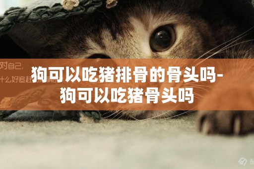 狗可以吃豬排骨的骨頭嗎-狗可以吃豬骨頭嗎