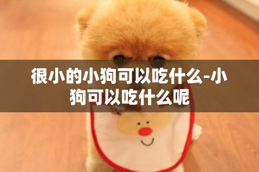 很小的小狗可以吃什么-小狗可以吃什么呢