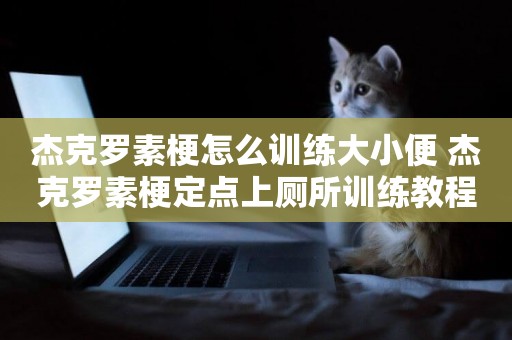 杰克羅素梗怎么訓練大小便 杰克羅素梗定點上廁所訓練教程