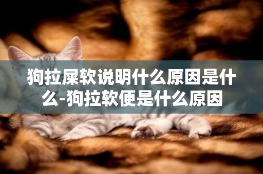 狗拉屎軟說明什么原因是什么-狗拉軟便是什么原因