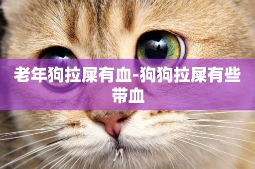 老年狗拉屎有血-狗狗拉屎有些帶血
