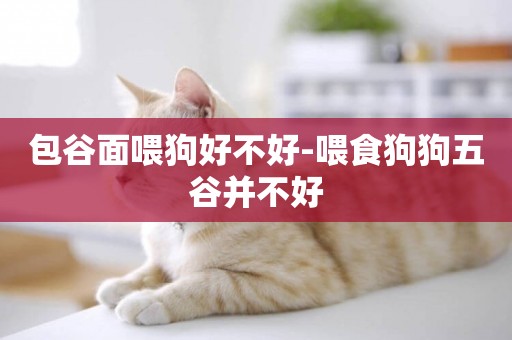 包谷面喂狗好不好-喂食狗狗五谷并不好
