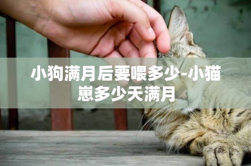 小狗滿月后要喂多少-小貓崽多少天滿月