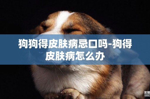 狗狗得皮膚病忌口嗎-狗得皮膚病怎么辦