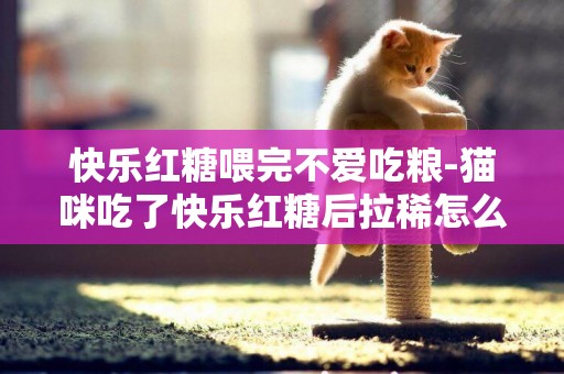 快樂紅糖喂完不愛吃糧-貓咪吃了快樂紅糖后拉稀怎么辦