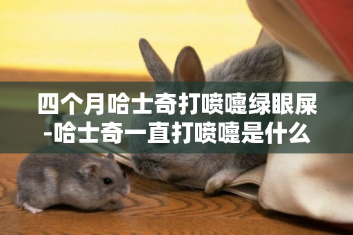 四個月哈士奇打噴嚏綠眼屎-哈士奇一直打噴嚏是什么原因