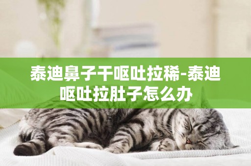 泰迪鼻子干嘔吐拉稀-泰迪嘔吐拉肚子怎么辦