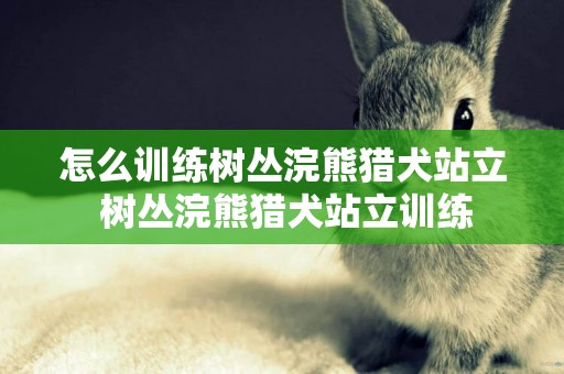 怎么訓練樹叢浣熊獵犬站立 樹叢浣熊獵犬站立訓練
