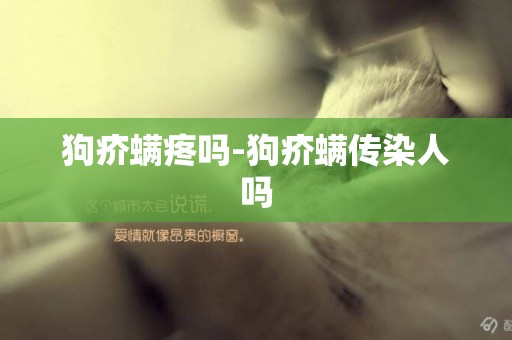 狗疥螨疼嗎-狗疥螨傳染人嗎