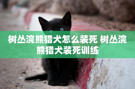 樹叢浣熊獵犬怎么裝死 樹叢浣熊獵犬裝死訓練
