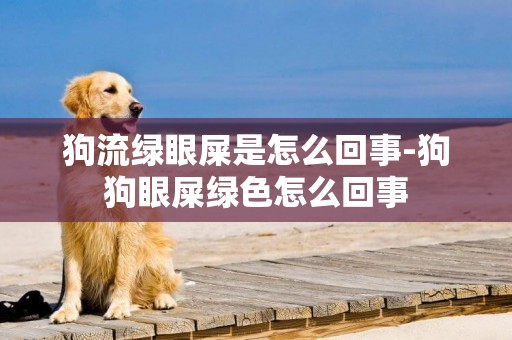 狗流綠眼屎是怎么回事-狗狗眼屎綠色怎么回事