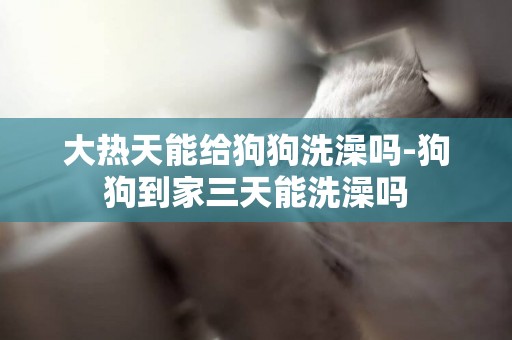 大熱天能給狗狗洗澡嗎-狗狗到家三天能洗澡嗎
