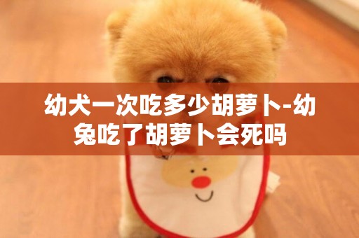 幼犬一次吃多少胡蘿卜-幼兔吃了胡蘿卜會死嗎