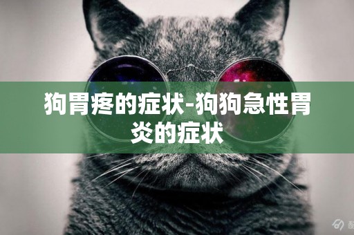 狗胃疼的癥狀-狗狗急性胃炎的癥狀