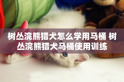 樹叢浣熊獵犬怎么學用馬桶 樹叢浣熊獵犬馬桶使用訓練