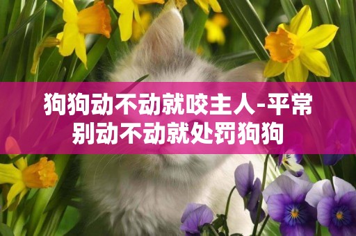 狗狗動不動就咬主人-平常別動不動就處罰狗狗