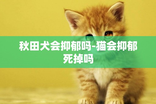 秋田犬會抑郁嗎-貓會抑郁死掉嗎