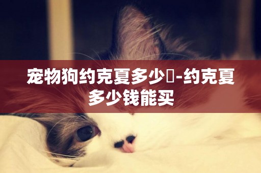 寵物狗約克夏多少錢-約克夏多少錢能買